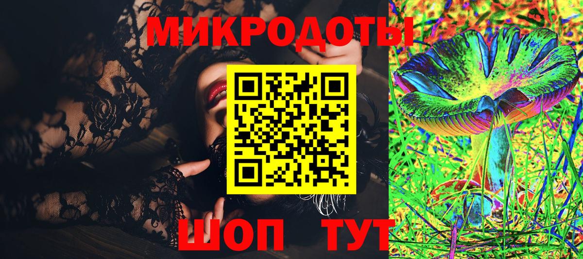 Галлюциногенные грибы Psilocybe Апрелевка